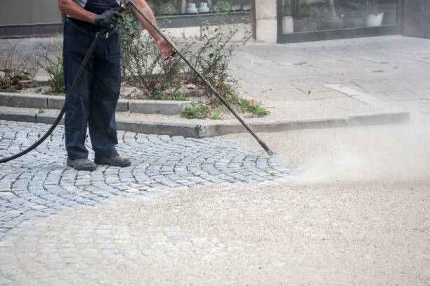 Best Animal Enclosure Cleaning  in Hillburn, NY